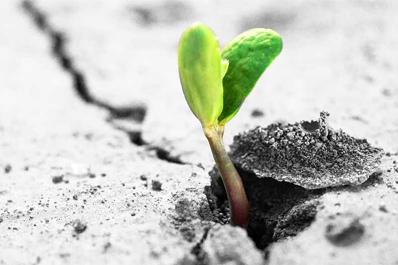 Wealth Management - Retirement